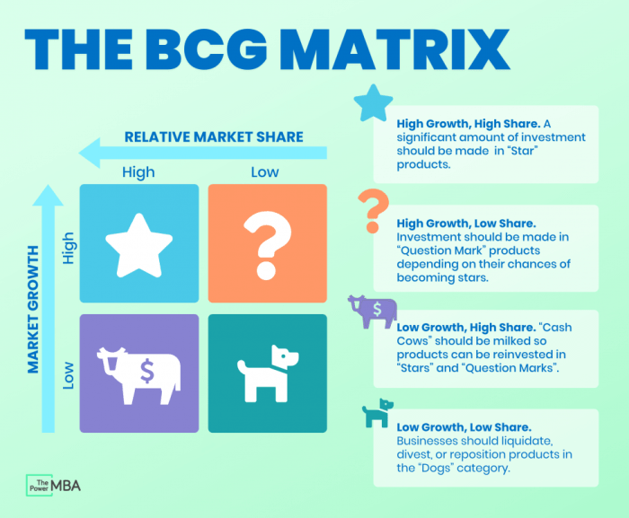 In bcg portfolio analysis products in low