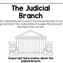 Judicial branch in a flash teacher guide