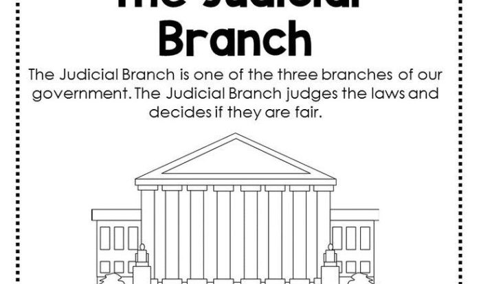 Judicial branch in a flash teacher guide