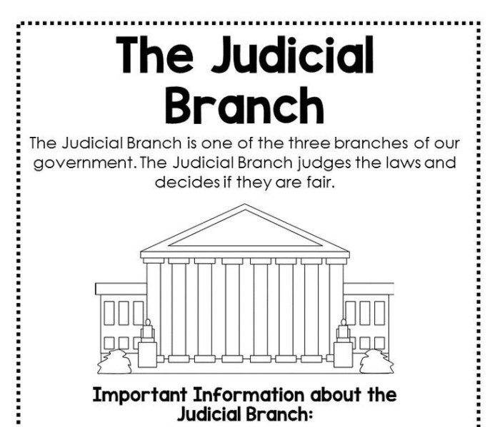 Judicial branch in a flash teacher guide