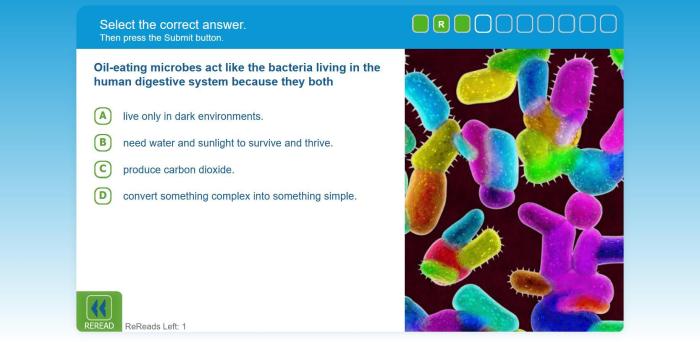 Reading plus answers level i answers