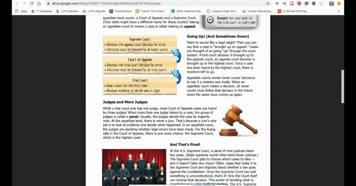 Judicial branch in a flash teacher guide