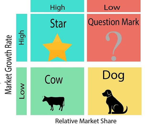 In bcg portfolio analysis products in low