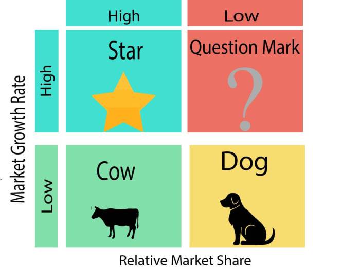 Bcg growth figure examples dog cows explained relative b2u henderson