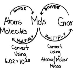 Counting moles and atoms worksheet