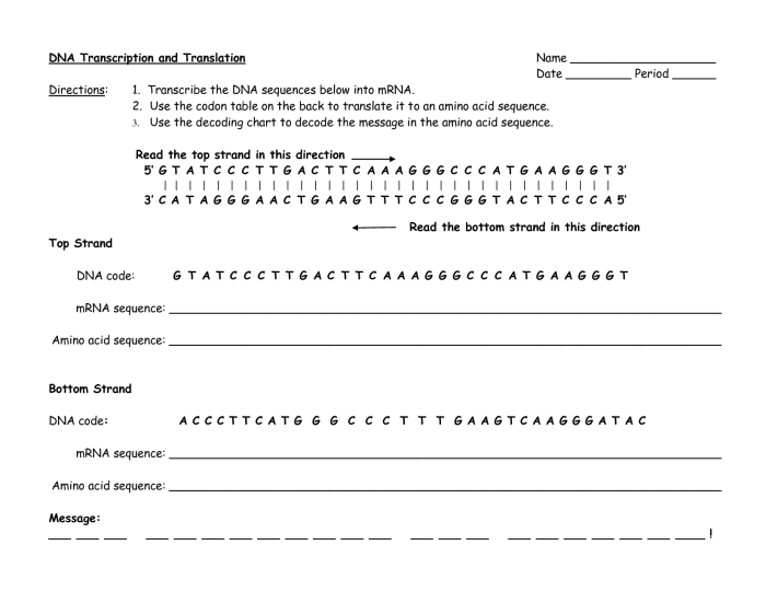 Answer key practicing dna transcription and translation worksheet answers