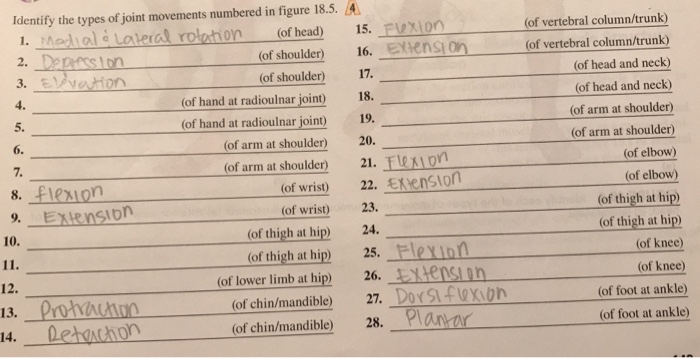 Solved assessment laboratory section date answer problem been has