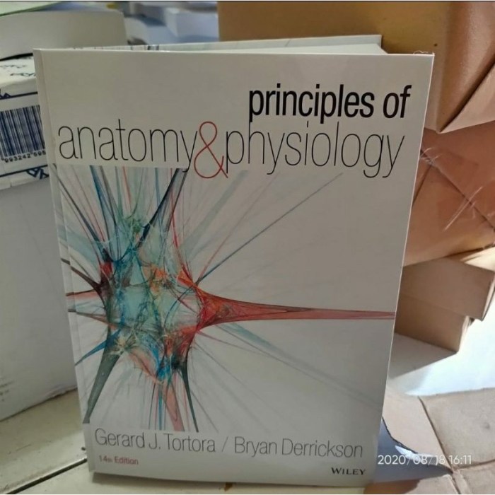 Principles of anatomy & physiology 14th edition