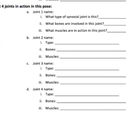 Lab 18 joint structure and movements