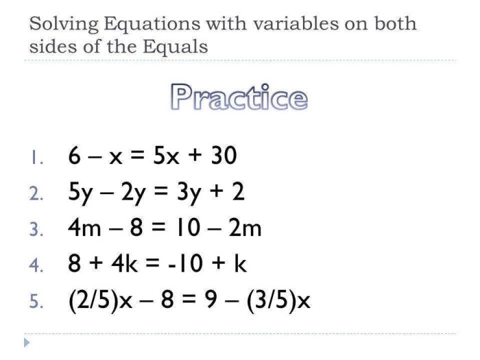 Solving equations with variables on both sides worksheet